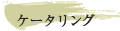 �P�[�^�����O